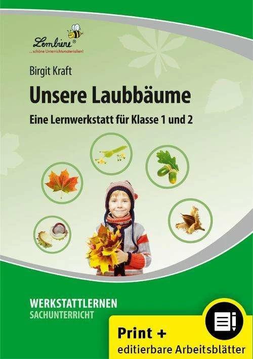 Image du produit Unsere Laubbäume. Grundschule, Sachunterricht, Klasse 1-2 (Allemand, Birgit Kraft, 2024)