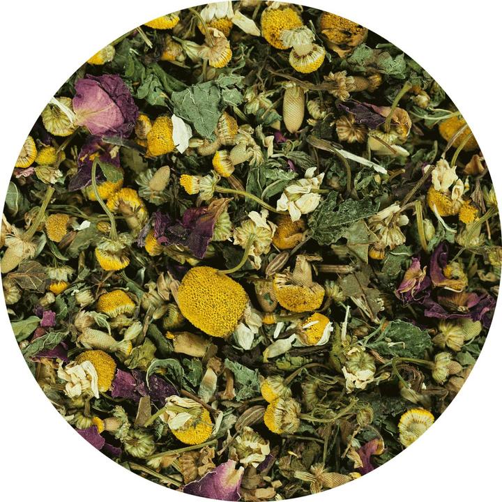 Image du produit Terra Canis Héros des herbes Pudelwohl pour l'estomac et l'intestin (Adulte, 1 pcs, 100 g)