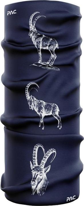 Steinbock