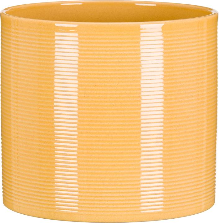 Actual product image Scheurich Zabaione (12 cm)