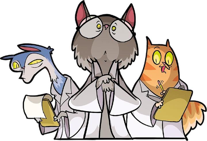 Immagine prodotto Gigamic I gatti di Schrodinger (f) (Francese)