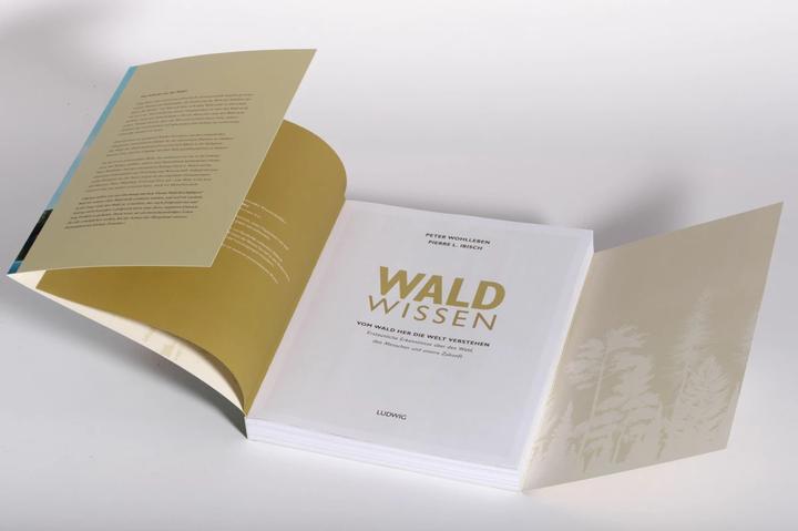 Produktbild Waldwissen (Deutsch, Peter Wohlleben, Pierre L. Ibisch, 2023)