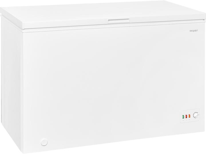 Produktbild Exquisit GT320-030D (Freistehend, 300 l)