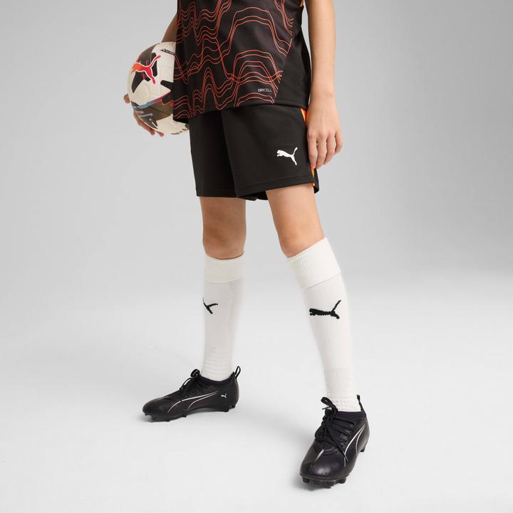 Image du produit Puma IndividualLIGA Training Shorts 2 Jr (poches ouvertes) (164)