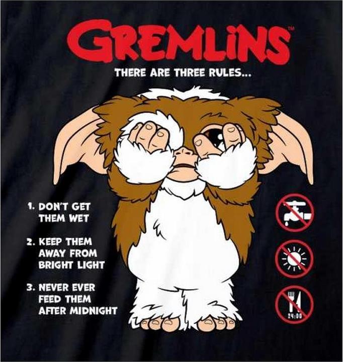 Actual product image Gremlins Unisex Adult The Rules T-Shirt (XXL)