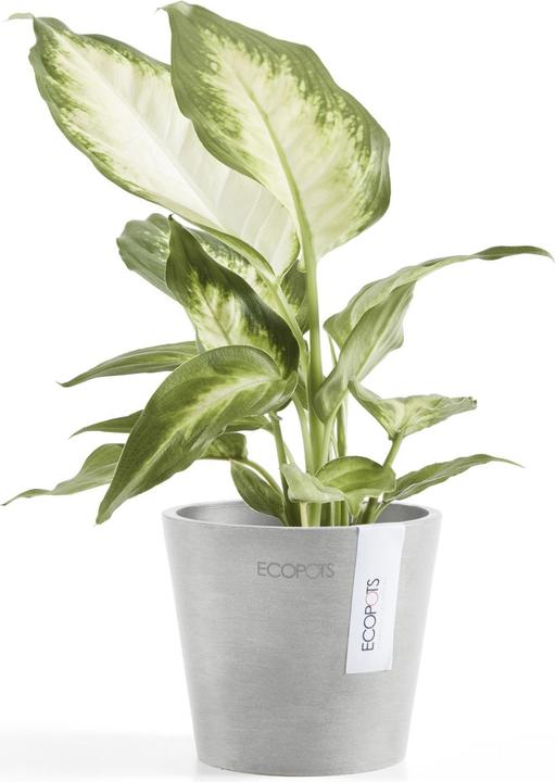 Produktbild Ecopots Amsterdam Mini (10.50 cm)