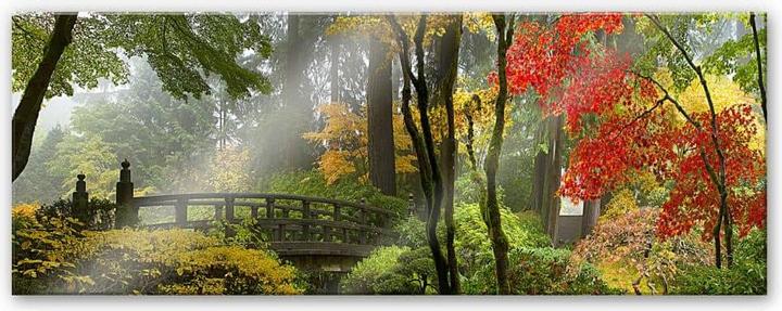 Actual product image Trenddeko Japanese Garden (40 x 100 cm)