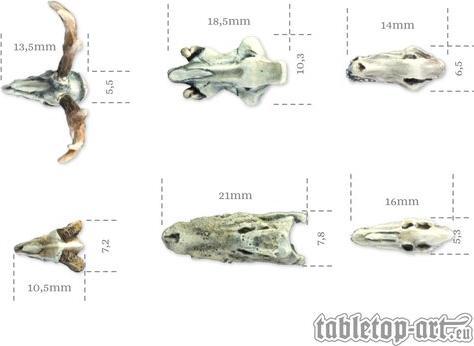 Image du produit Tabletop-Art Accessoires Animals Skulls Set 6 pièces (Matières plastiques)