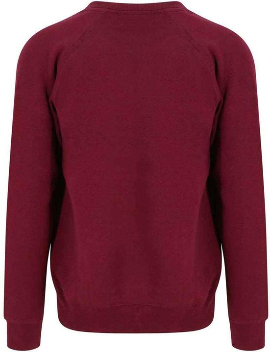 Actual product image Awdis Mens Graduate Heavyweight Sweatshirt (3XL)