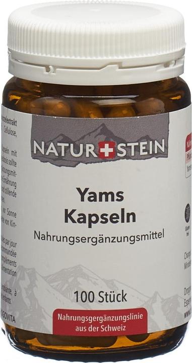Naturstein Yams Kaps Glasfl 100 Stk (100 Stück, Kapseln, 143 g)