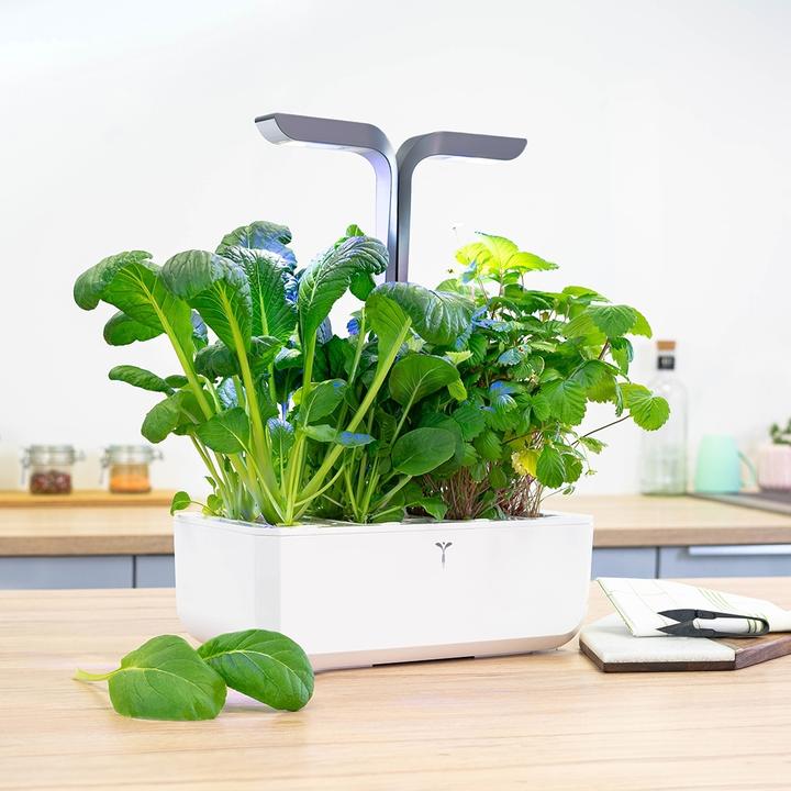 Actual product image Véritable Connect Indoor Garden (18 cm)