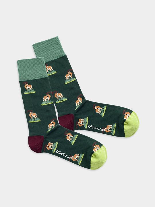 Actual product image DillySocks Capricorn Climb (Single pack, 36 - 40)