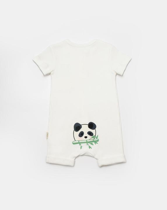 Image du produit BabyCosy Grenouillère courte. manches courtes. 2 Pack (68)