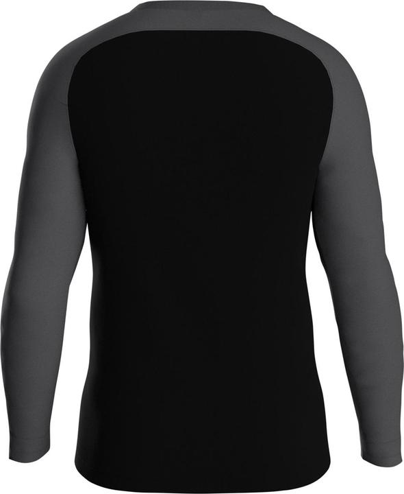 Actual product image JAKO Sweat Iconic (140)