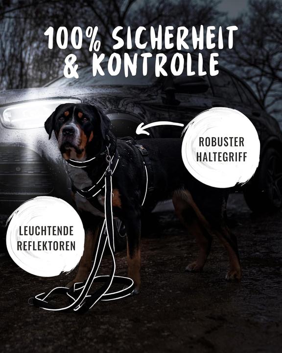 Produktbild Rudelkönig Hundegeschirr Paola mit Reflektoren und Haltegriff (S, Hund, Spazieren, Allgemein)
