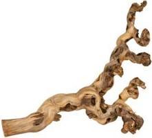 Actual product image Trixie Vine