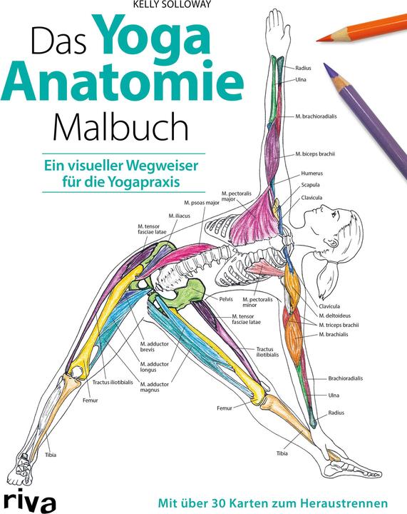 Actual product image Solloway:Das Yoga-Anatomie-Malbuch (German, Kelly Solloway, Samantha Stutzman, 2019)