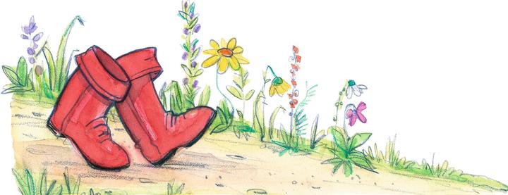 Actual product image Prinzessin Lillifee und das verzauberte Märchenbuch (German)