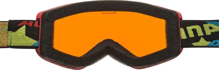 Immagine prodotto ALPINA SPORTS Carvy 2.0