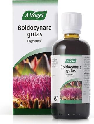 A. Vogel Boldocynara 100ml