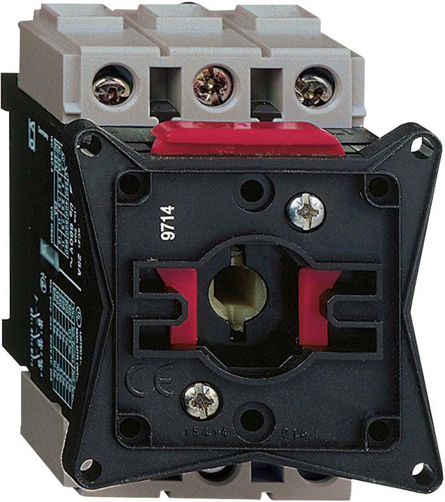 Actual product image Schneider Electric Switch disconnector 40A