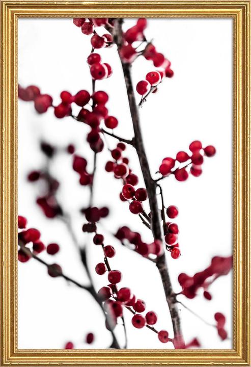 Image du produit Juniqe Red Berries 1 (60 x 90 cm)