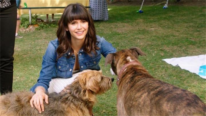 Immagine prodotto Plaion Dog Days - Cuore, cane, happy end! (Blu-ray, 2019, Tedesco)