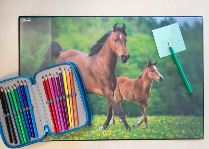 Actual product image Idena Desk Pad PP 58,5x38,5cm Horse