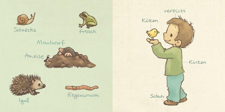 Image du produit La mini-bibliothèque des animaux - 6 mini-livres d'images cartonnés dans un coffret (Die grosse (Allemand)