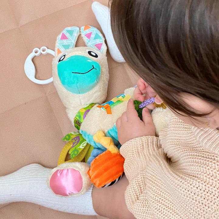 Actual product image Playgro Sensory Friend Magnifying Glass Llama - (10188470)