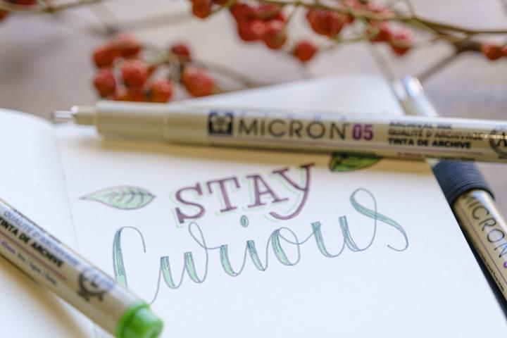 Image du produit Sakura Fineliner Pigma Micron 08 blau 0,5mm (Bleu, 1 x)