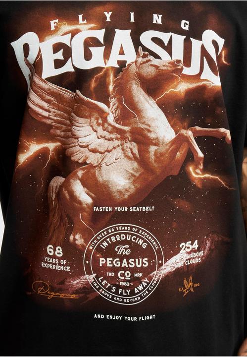 Produktbild MT Pegasus Oversize Tee (XS)