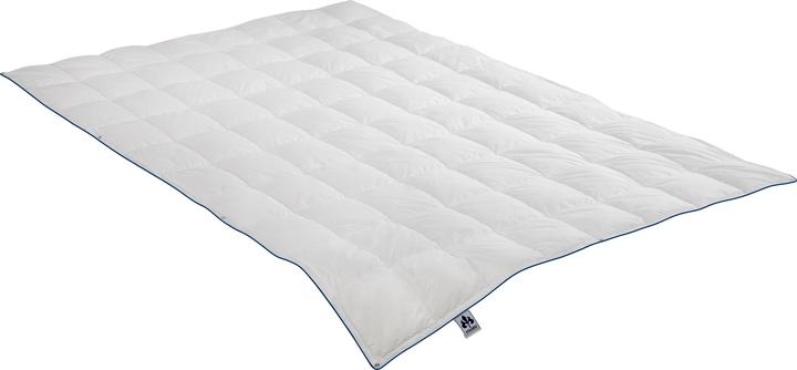 Produktbild Irisette 4-Jahreszeiten-Daunendecke Luna (1050 g, 155 x 200 cm)