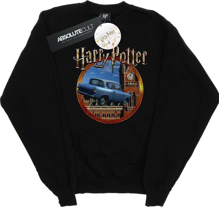 Image du produit - Sweat FLYING CAR - Femme (S)