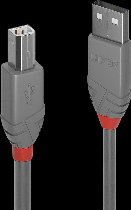 Produktbild Lindy USB/A-USB/B M-M (3 m, USB 2.0)
