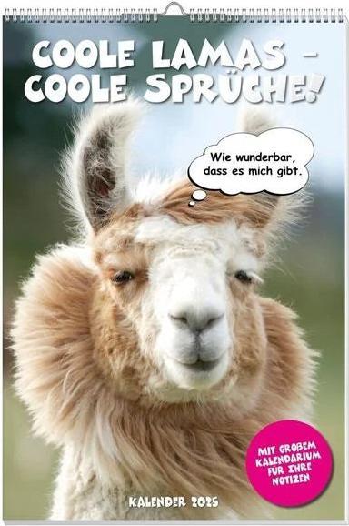 Actual product image Cool llamas poster calendar 2025 (German)