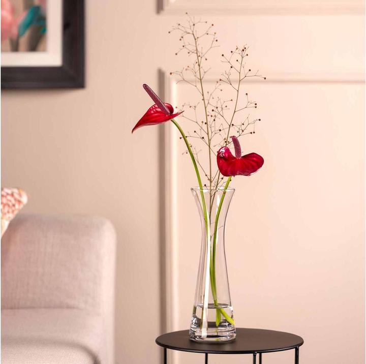Image du produit Leonardo Vase Gia 26 cm, Transparent (1 x, 26 x 8 x 26 cm, 2146.50 l)