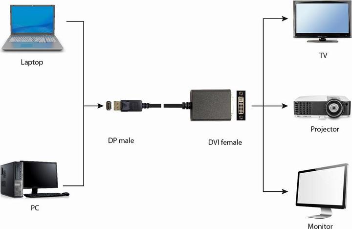 Produktbild Gembird DisplayPort v.1.2 - Dual-Link DVI (DVI, 10 cm)