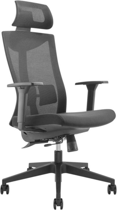Immagine prodotto Ergo Office Sedia ergonomica Top