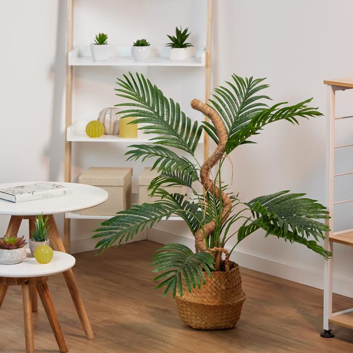 Image du produit Relaxdays Tiges de coco (3 cm, 3 cm)