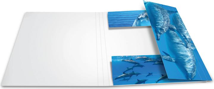 Actual product image HERMA A3 motif folder (A3, 1 x)