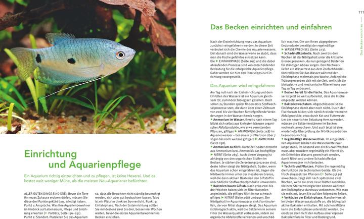 Produktbild Das grosse Praxishandbuch Aquarium (Deutsch, Ulrich Schliewen, 2017)