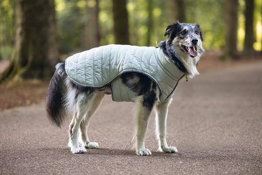 Produktbild Beeztees Bz Hund Mantel Bobby Taupe 52 (52, Hundemantel)