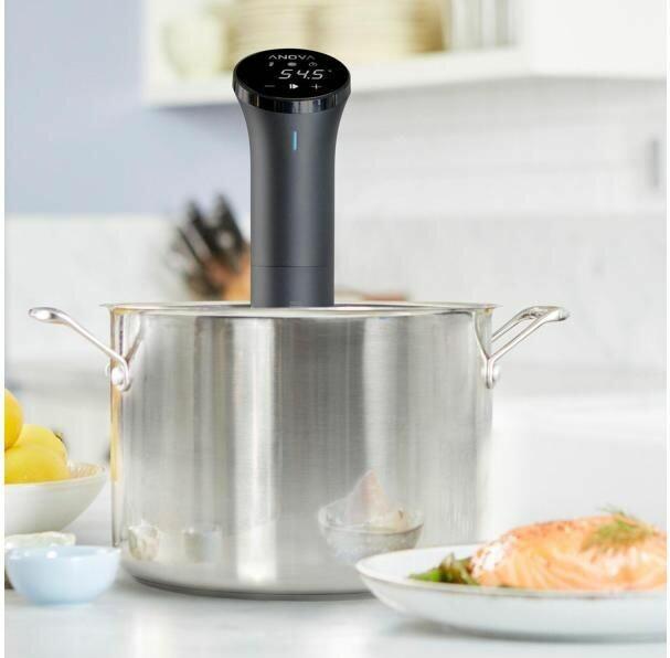 Actual product image Anova Nano