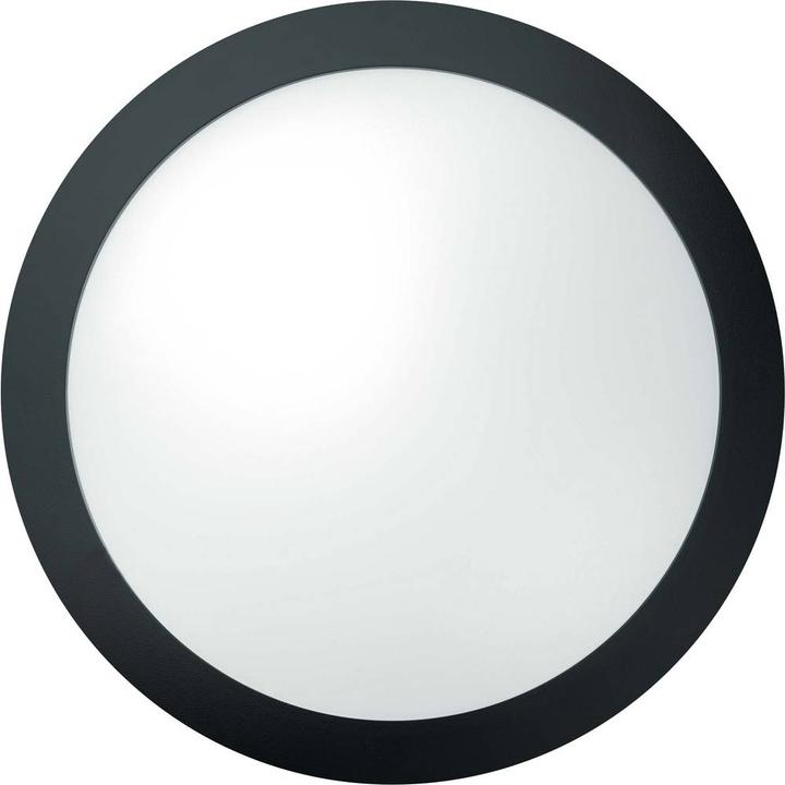 Thorneco LED Wandleuchte TOM LED300 # (1201 lm)