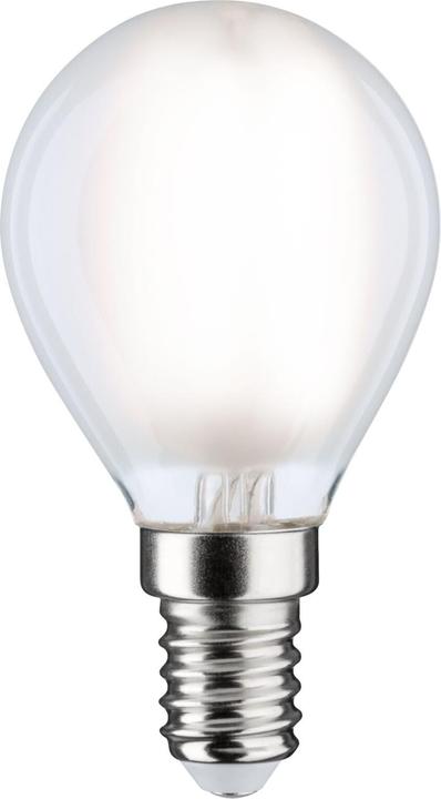 Neutral White