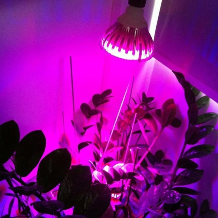 Immagine prodotto Vled pera (LED, 230 V)
