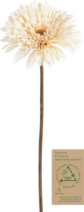 Botanic-Haus Artificial gerbera flower, ivory, 63 cm (63 cm)
