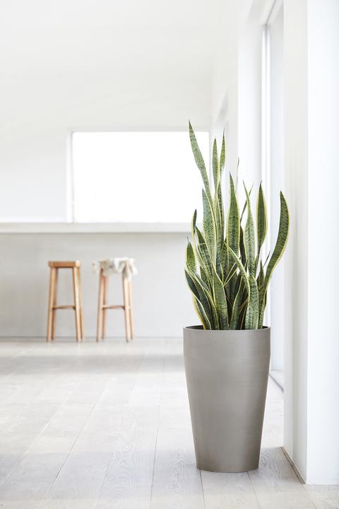 Actual product image Ecopots Sankara (35 cm)