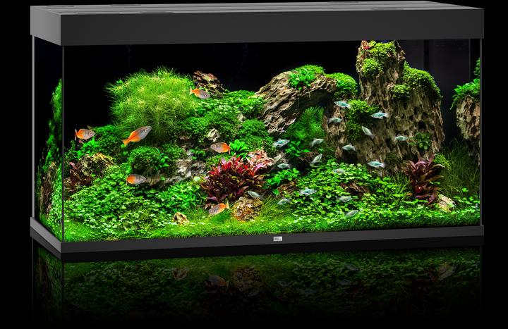 Produktbild Juwel Aquarium Rio (350 l)